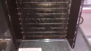 IMG_20150410_144912518 (1)